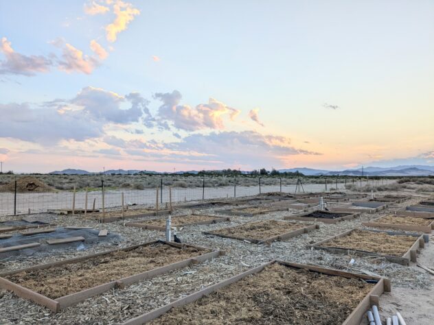 Hardening the Earth: Prepping Your Soil for the 100-Degree Shift